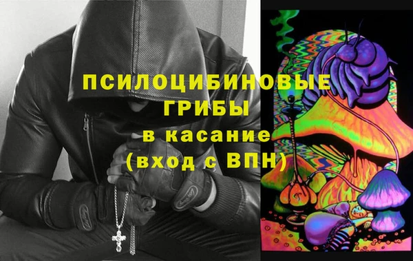не бодяженный Арсеньев